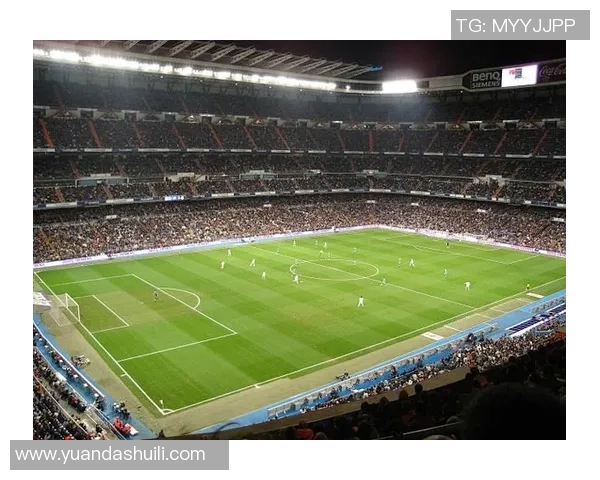 足球明星10号背面图解析与球场风采展示