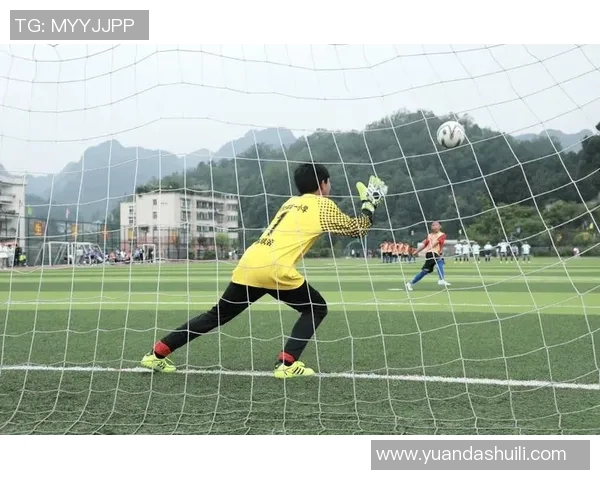 雅字闪耀绿茵场足球明星们的魅力与成就解析